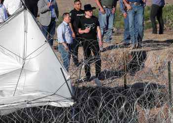 Elon Musk Wades into US Immigration Debate at Texas-Mexico Border