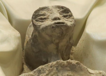 Reuters, Mexican Lawmakers Hold Extraordinary Hearing on UFOs, Display Alleged Non-Human Remains