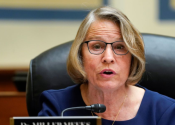 U.S. Representative Mariannette Miller-Meeks Receives Death Threats After Speaker Vote