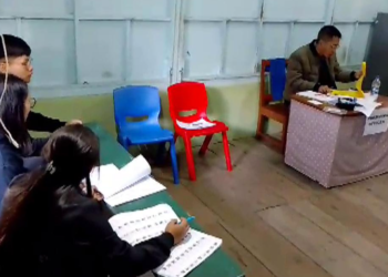 Mizoram Election Witnesses Massive Voter Turnout as 87%