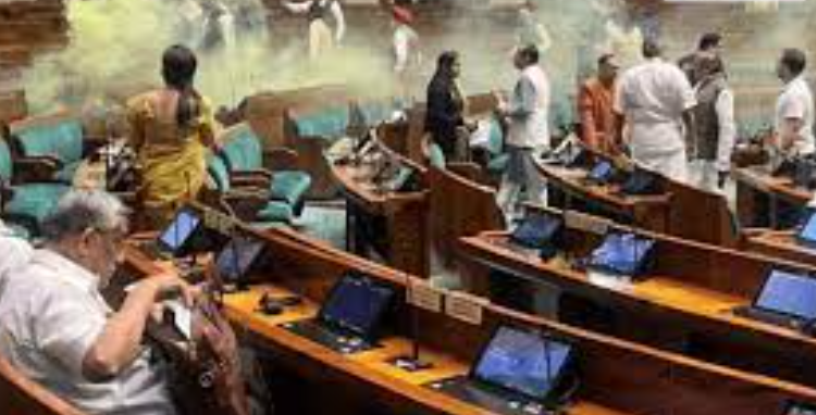 Man Jumps Into Indian Parliament, Sets Off Smoke Can in Major Security Breach