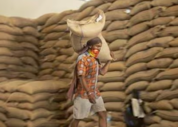 The agency now uses AI-based grain sorters to examine the quality of wheat and rice it buys from farmers, which ensures poor produce is automatically vetted, the official said (AP)