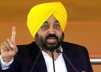 Punjab CM Bhagwant Mann(File photo)