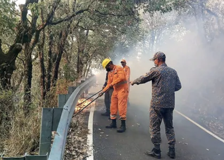 NDRF personnel try to control a fire that broke out in the forest of Pauri Garhwal district on Tuesday, May 14, 2024.(PTI)
