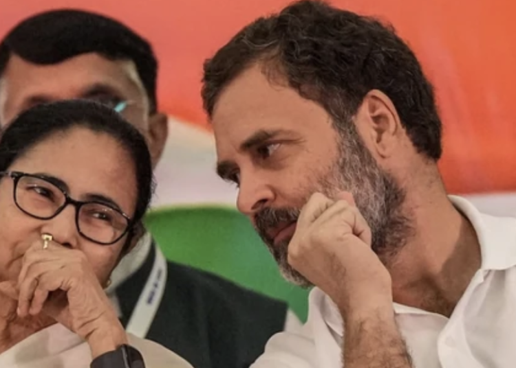 West Bengal chief minister Mamata Banerjee with Congress MP Rahul Gandhi.(PTI file)