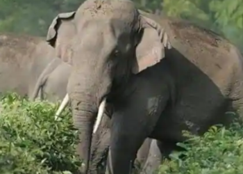 (Representative Photo)