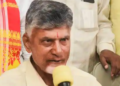 Andhra Pradesh chief minister N Chandrababu Naidu.(PTI)