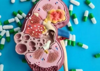 The toxins present within plastics can cause additional complications to the kidneys for individuals with existing kidney diseases.