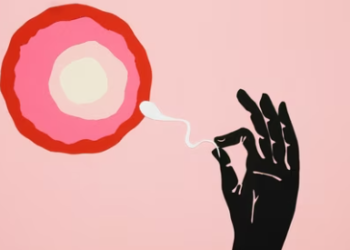 Egg donor has no legal right to claim biological parenthood in surrogacy