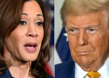 Trump often tears into Harris in offensive and personal terms himself, questioning in recent weeks her mental stability and her intelligence as well as calling her “lazy,” long a racist trope used against Black people.(AFP)
