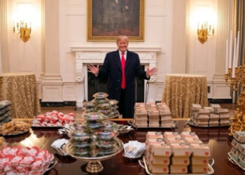 Donald Trump nominated RFK Jr. to head the Health Department, sparking memes over his stance on junk food. (X/@redsteeze)