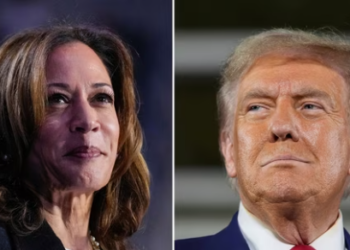 Kamala Harris' SNL appearance came after popular podcaster Joe Rogan informed that she has refused to appear in a long interview over scheduling conflicts.(AP)