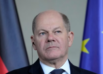 Elon Musk's claim that only a far-right party can "save Germany" was rejected by Chancellor Olaf Scholz on Friday, but he added that freedom of speech "also goes for multibillionaires."(AP)