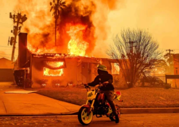 Wildfires Wreaking Havoc in Los Angeles: A City in Crisis