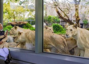PM Modi Hails Vantara: A Landmark Wildlife Conservation Effort in Gujarat