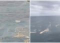 Massive Oil Spill and Container Debris Seen After Liberian Shipwreck Near Kerala Coast | Over 100 Containers Floating