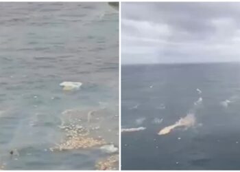 Massive Oil Spill and Container Debris Seen After Liberian Shipwreck Near Kerala Coast | Over 100 Containers Floating