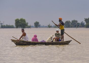 Bhakra dam nears full capacity, Rupnagar administration issues flood alert