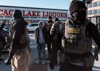 Why did Border Patrol fire? Minneapolis shooting sparks protests, pepper spray claims, and DHS response