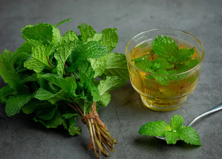 Struggling with PCOS? Nutritionist recommends 3 herbal teas to balance hormones and fight inflammation