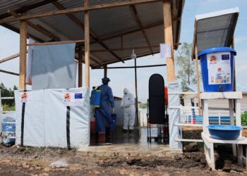 France Confirms First Ebola Case as Doctor Returns from Congo Outbreak Zone