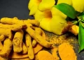Lakadong Turmeric: Can Meghalaya Turn a Hill Crop Into a Global Brand?